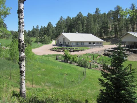 BUNGALOW 