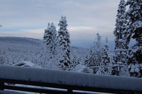 Mountain views from the deck - stunning throughout the year!