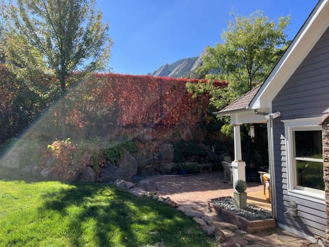 View from the backyard