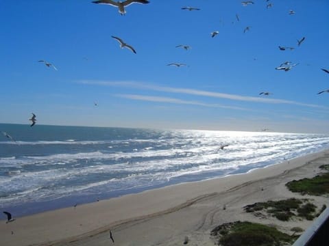 View of the Gulf from #704 Balcony