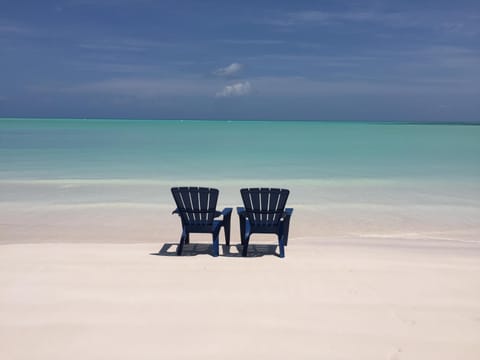 What's missing? YOU!