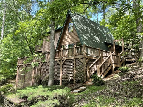 The *NEW* Bear View Cove