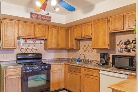 Kitchen Counter & Cabinets