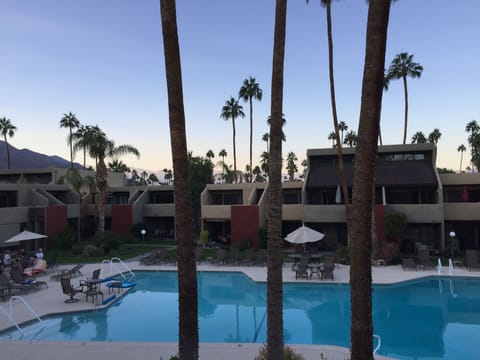 View from patio - back door has steps leading down directly to the pool