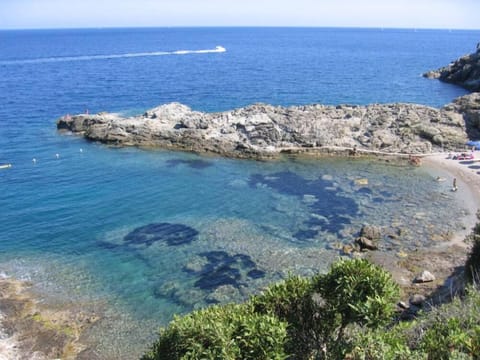 the beach