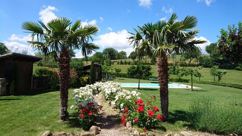 Palm and path to the pool and pool house