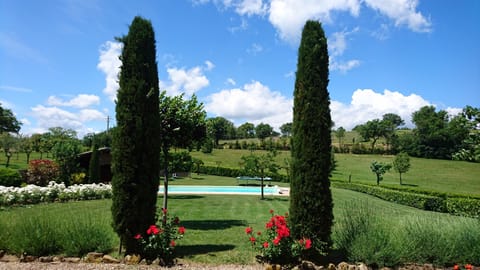 View of the pool from the house