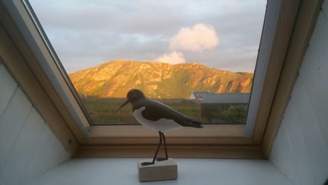 View from the house to the hills behind Loch Fada