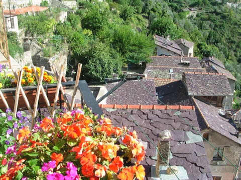 West view from blacony