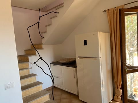 Large refrigerator for cool beverages