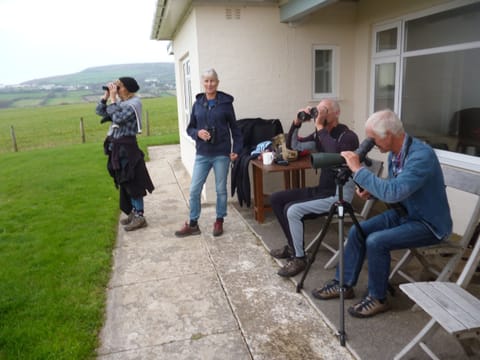 Peregrine spotting from the front of the house