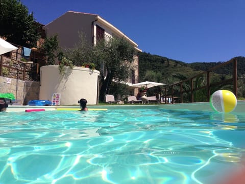 the pool and the house