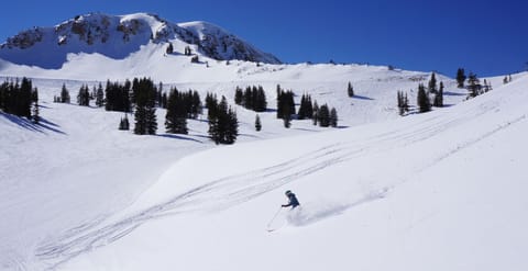 The best snow on earth!