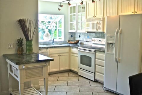 Fully equipped kitchen with new refrigerator, dishwasher, microwave, stove/oven