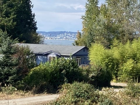 View of Drayton Harbor behind the house