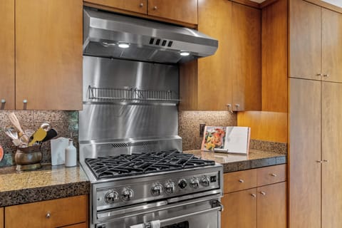 Professional gas range