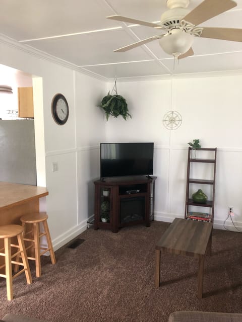 The fireplace has heat for a cold evening or just light for the ambiance.