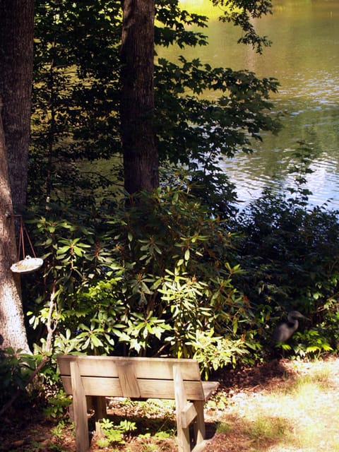 Blue Lake Meditation