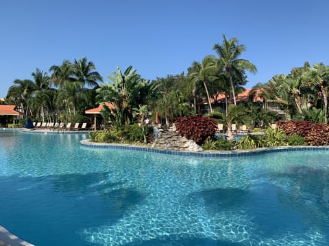 What is better than this?  Largest pool in S.W. Florida