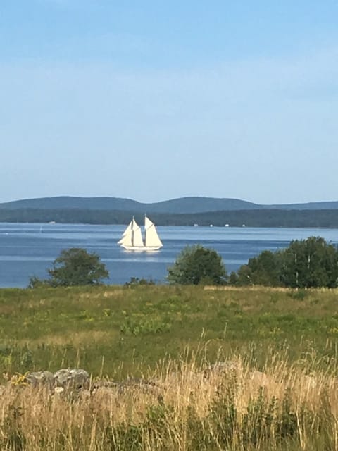 Your view from the deck and front yard. 