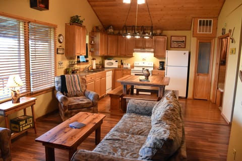 Spacious LR and Kitchen Main Level