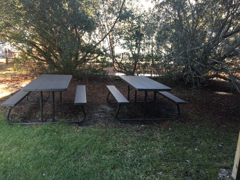 Picnic tables in backyard