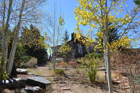 Aspen view - garden oasis