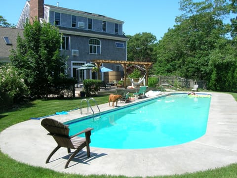 The private back yard is dominated by a dramatic 60 ft. oblong swimming pool