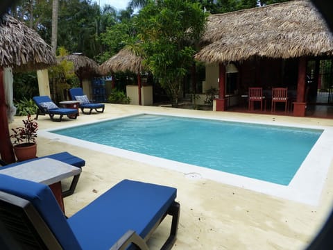 Pool and Patio area