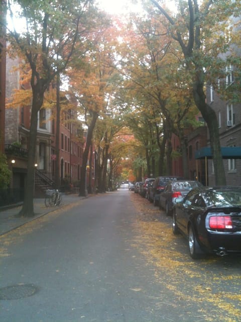 the neighborhood
