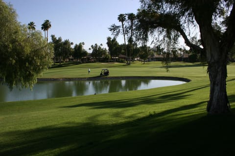Backyard view of lake.