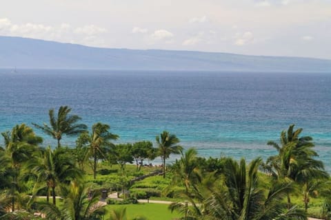 Awesome ocean view