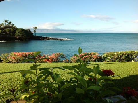 A16's view of Honokeana Bay and the island of Lanaí in background
