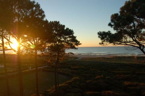 From sunrise....