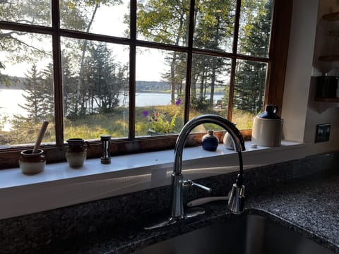 Great view while washing dishes!