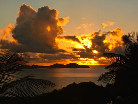 Sunrise over BVIs (taken from driveway)