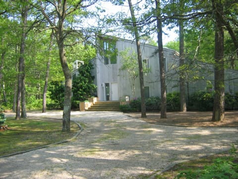 Front View