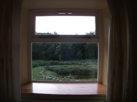 view of pond through front upstairs window