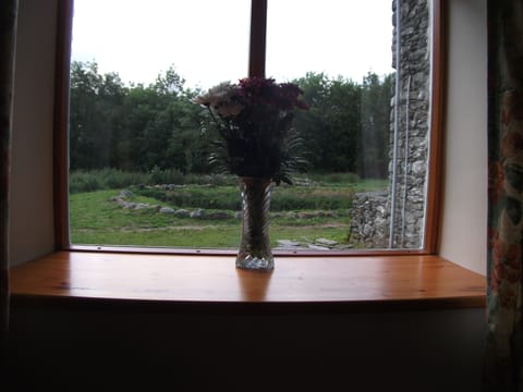 view of pond from downstairs window