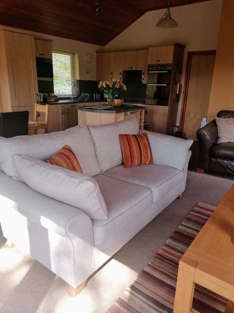 Social kitchen, dining and lounge. 