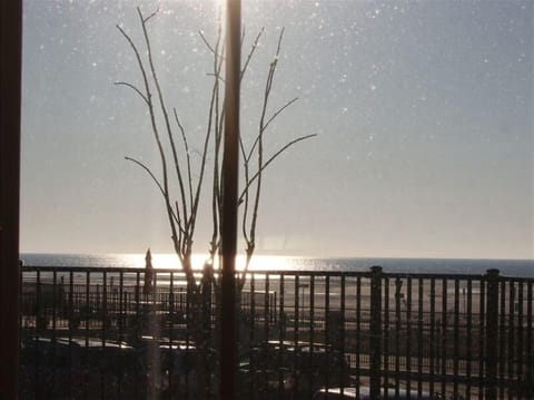 MOONLIGHT ON THE GULF FROM BOTTOM DECK