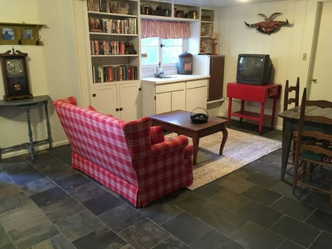 Basement family room includes a sink and a mini fridge.