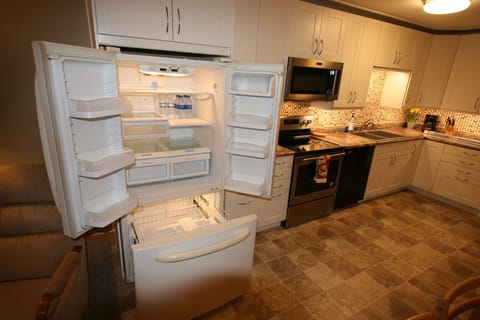 Large Refrig with Pull Out Freezer