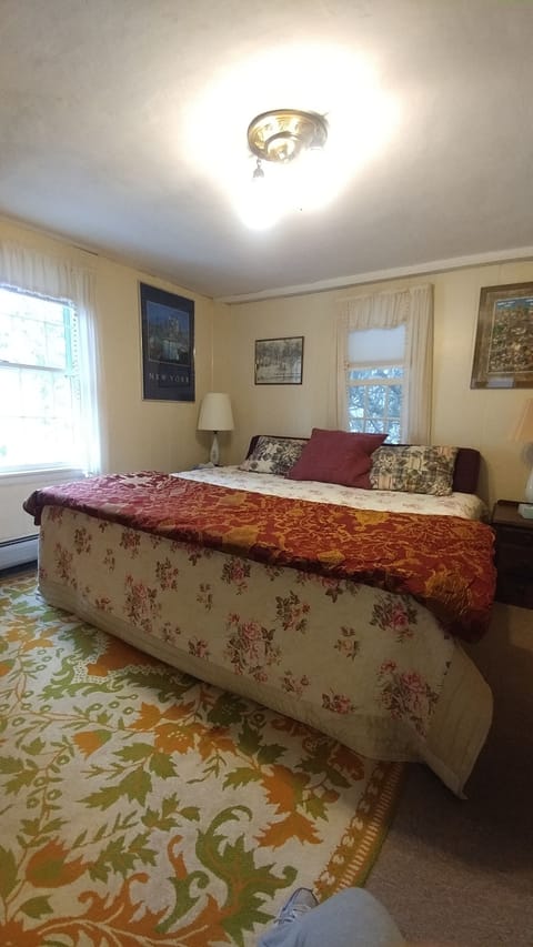 Downstairs king bedroom