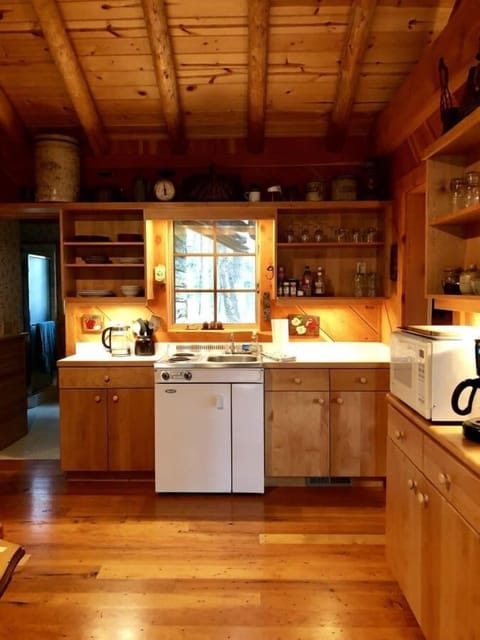 Kitchenette features the basics for quaint cabin cooking