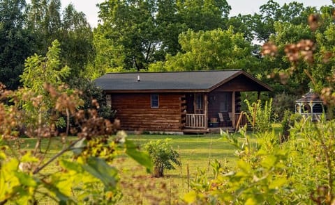 Cedar Cabin