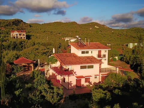 Back view of the house and surrounding gardens 