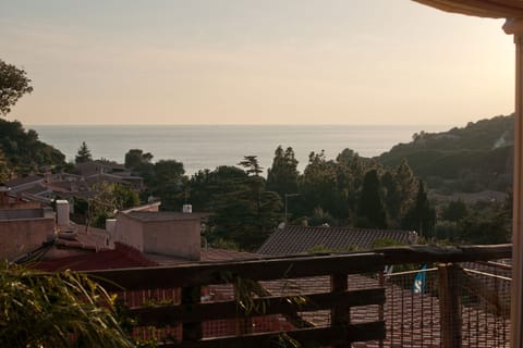 View from the terrace