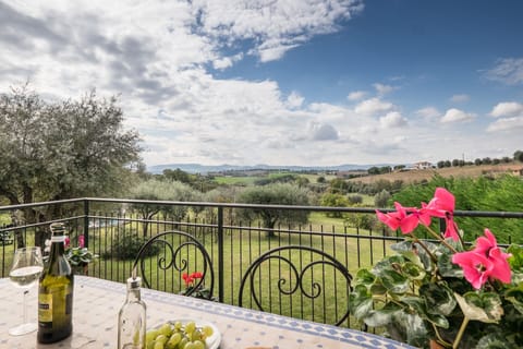 The view from the upper terrace
