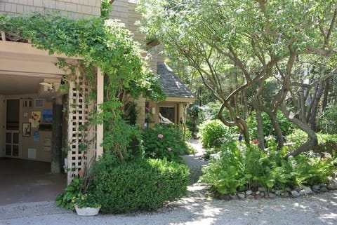 Lush and secluded